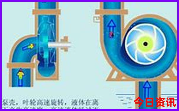 贵阳31中在哪里